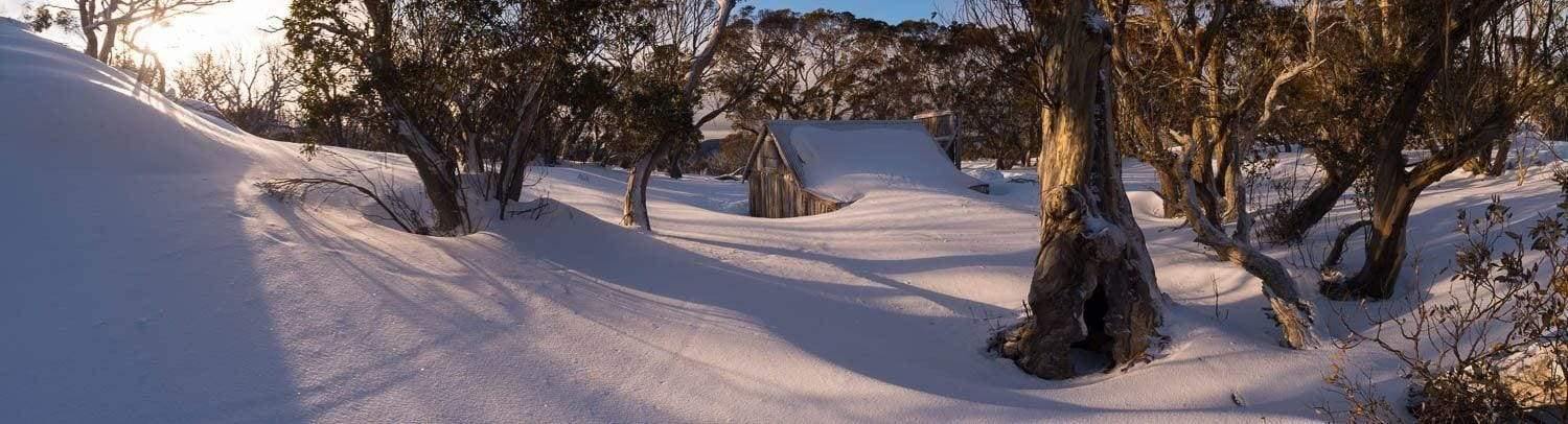 Beautiful landscape of some trees on a snow-covered area, Wallace's Hut in Snow, Falls Creek, Victorian High Country