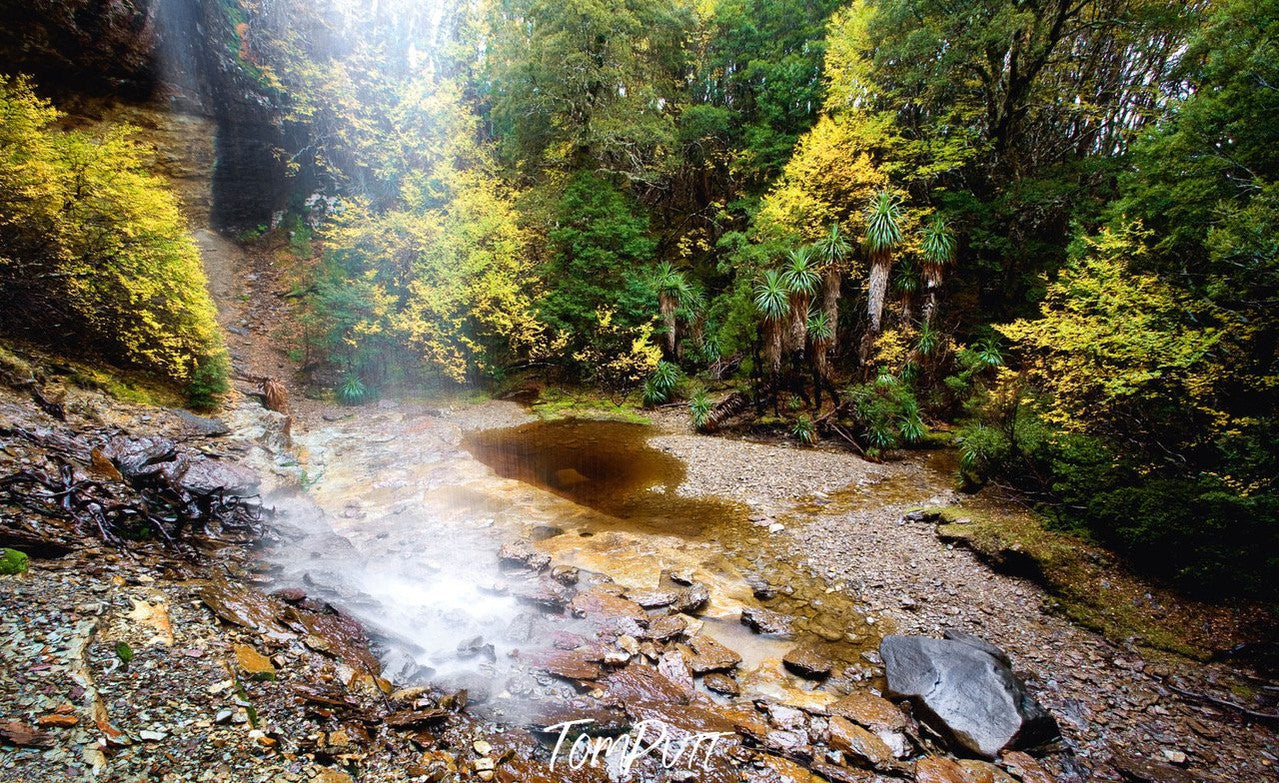 A small area under thick trees with some stones, with sunlight coming, Cradle Mountain #27, Tasmania