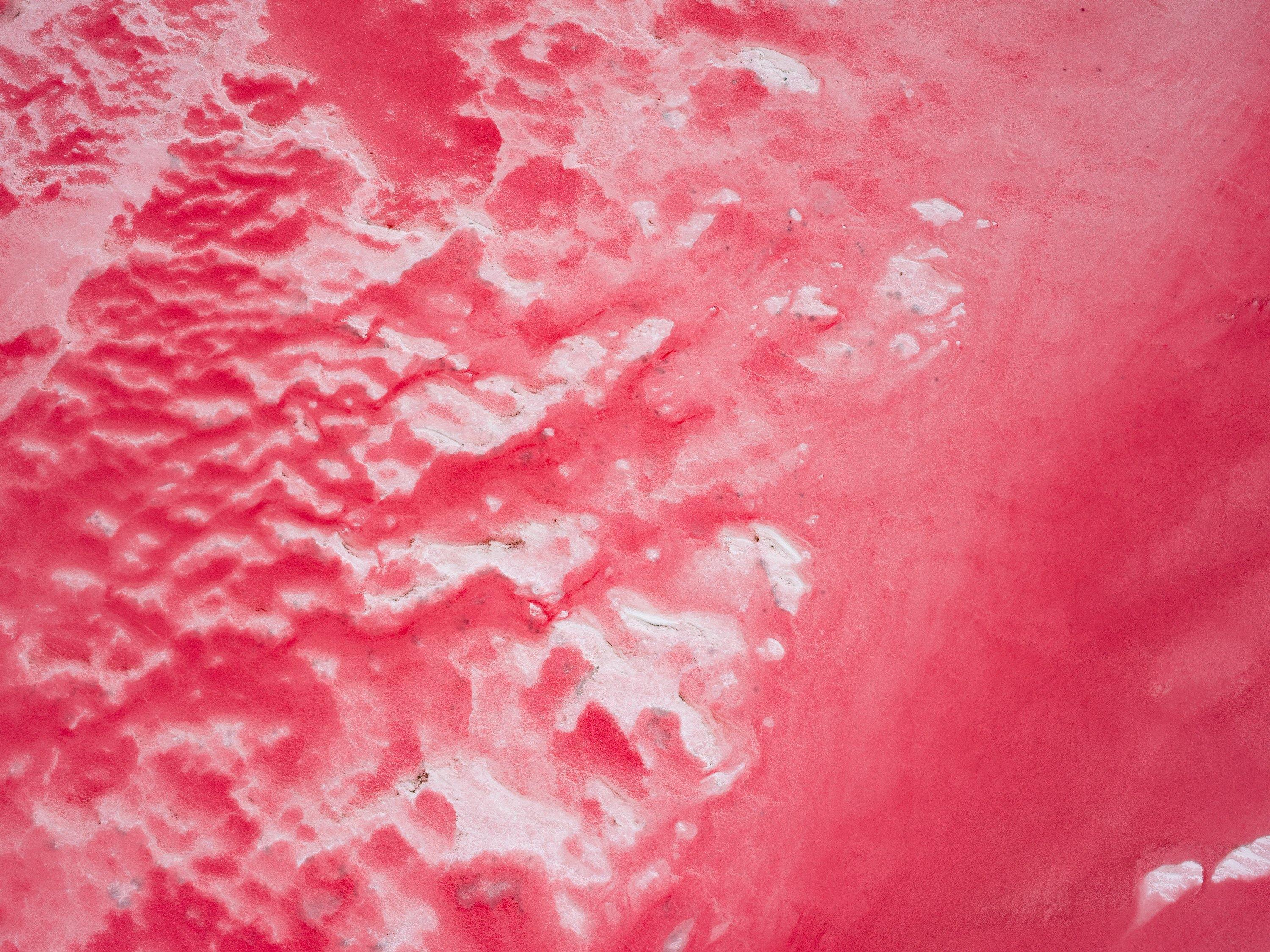 An artwork of watermelon-like red wet texture, Watermelon Glow