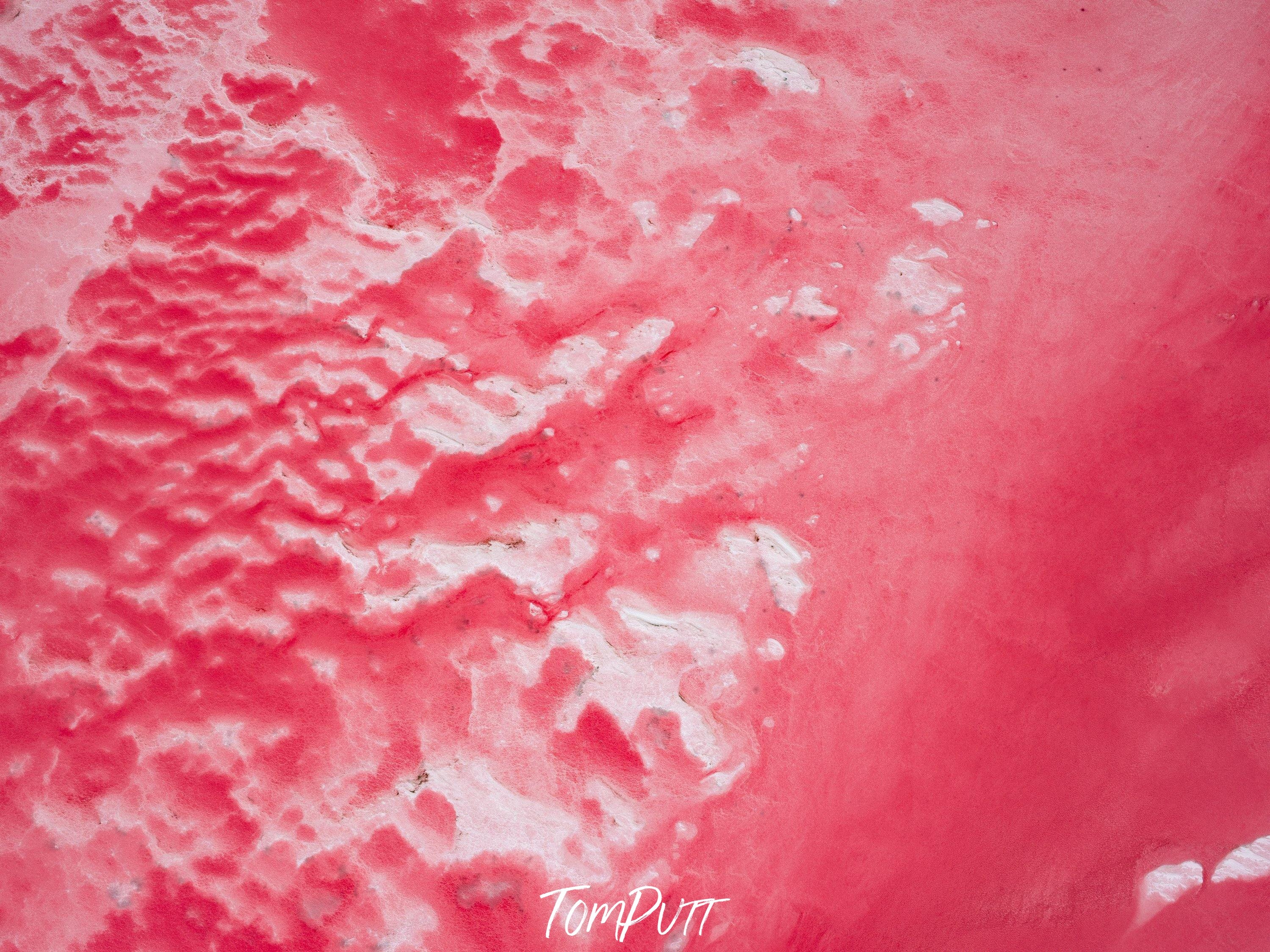 An artwork of watermelon-like red wet texture, Watermelon Glow