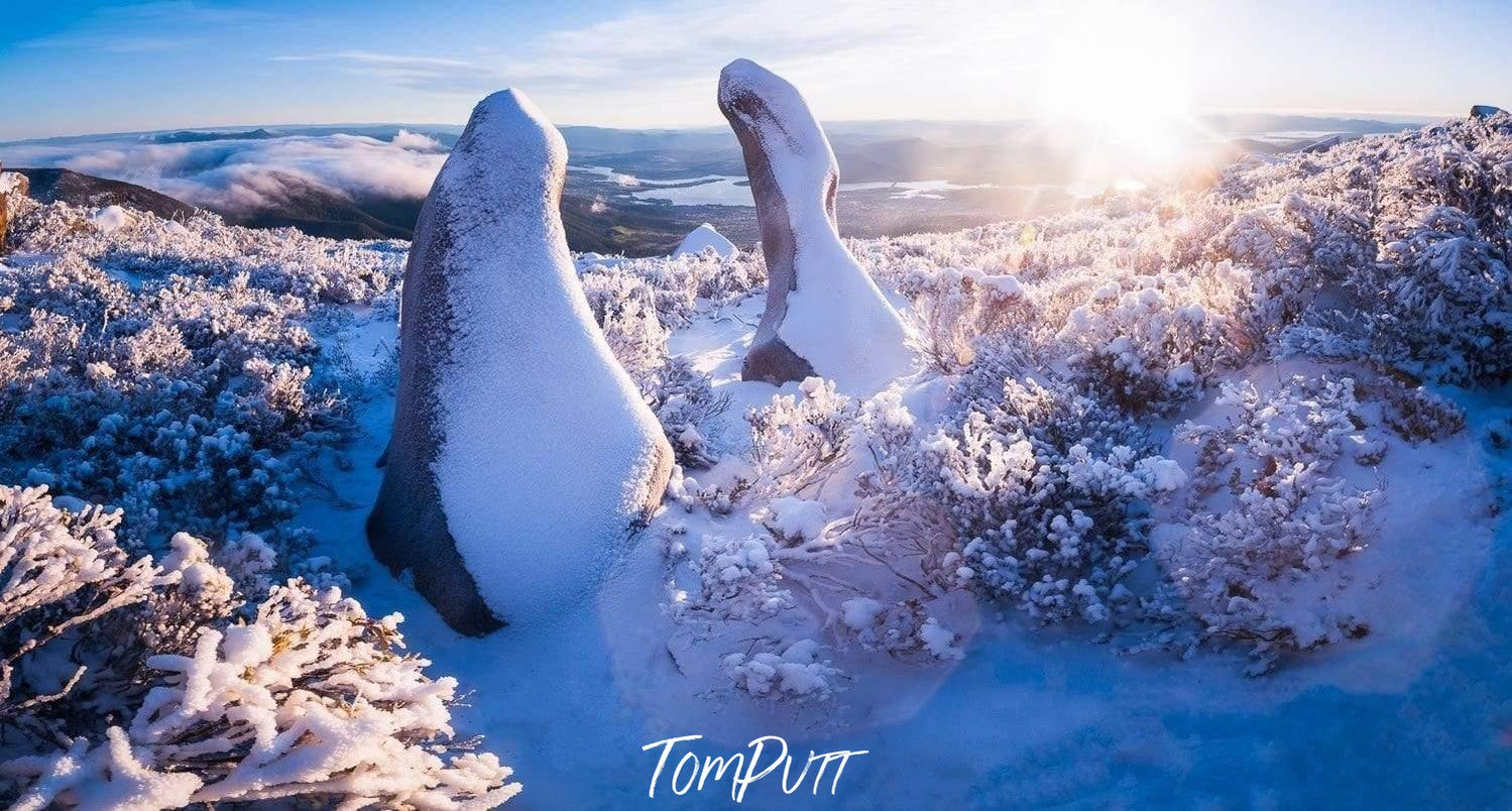 A lot of bushes covered with snow, and two large sculptures of Antarctica birds formed by snow, Wellington Guardians - Mt Wellington TAS