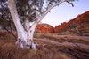 West MacDonnell Ranges, Northern Territory-Tom-Putt-Landscape-Prints