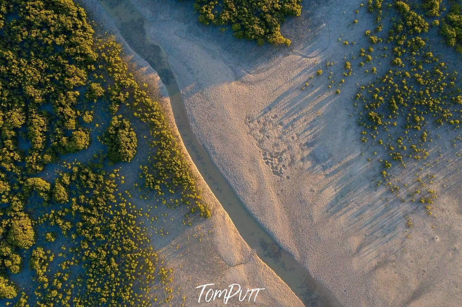 Aerial view of beach with some fresh greenery over, Western Port Greenery - Mornington Peninsula VIC