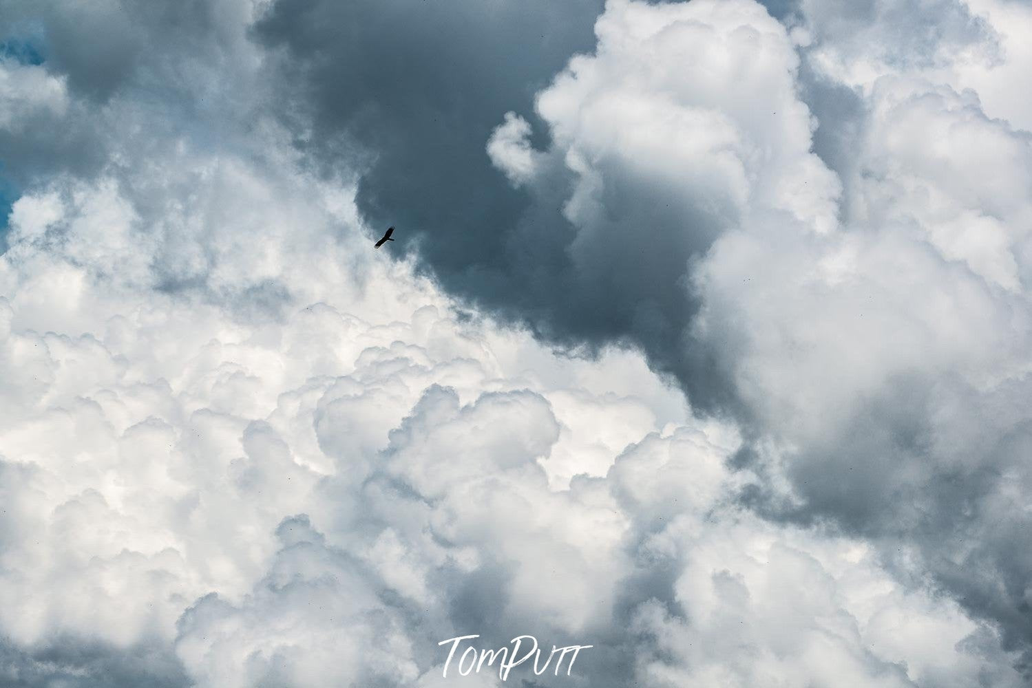 Heavily dense smoky clouds with an only eagle flying in the surrounding, Arnhem Land 3 - Northern Territory  