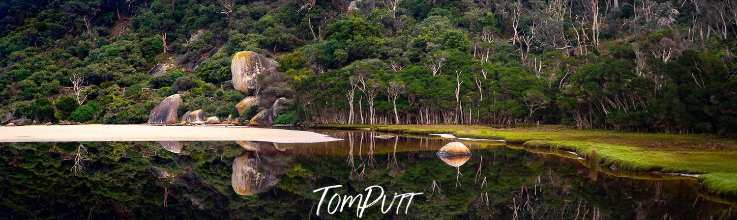 A landscape of a small lake with greenery around and the clear reflections in the water, Wilson's Promontory #22