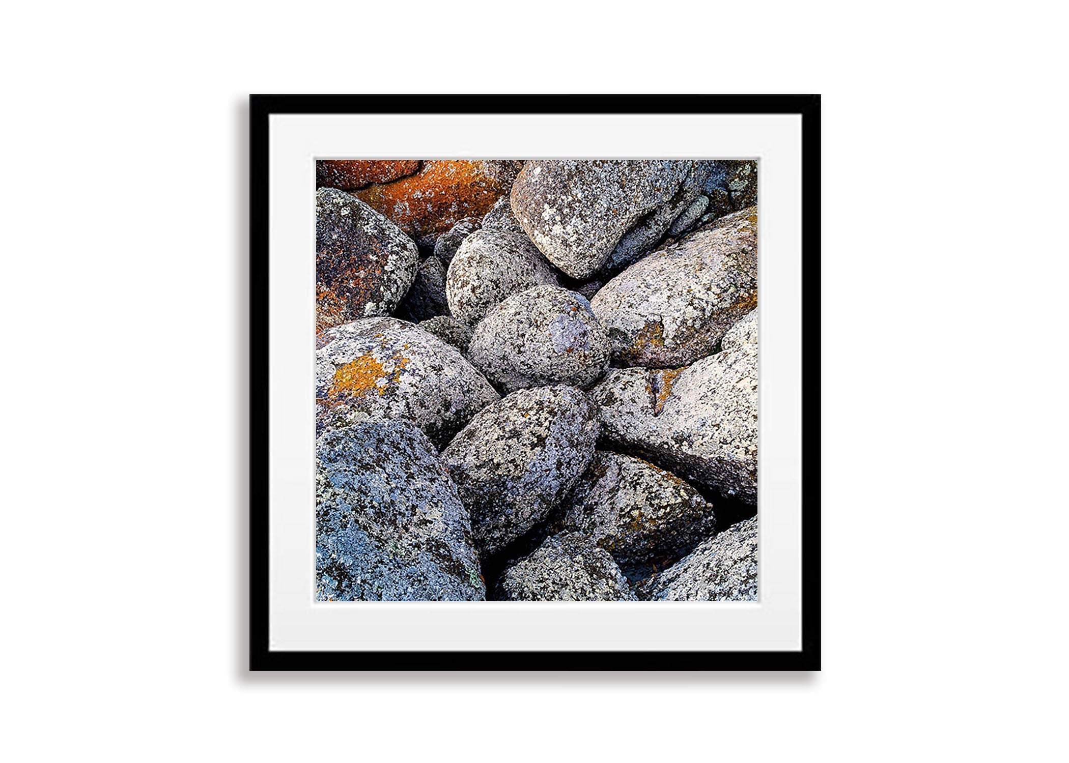 White Lichen on rock, Bay of Fires