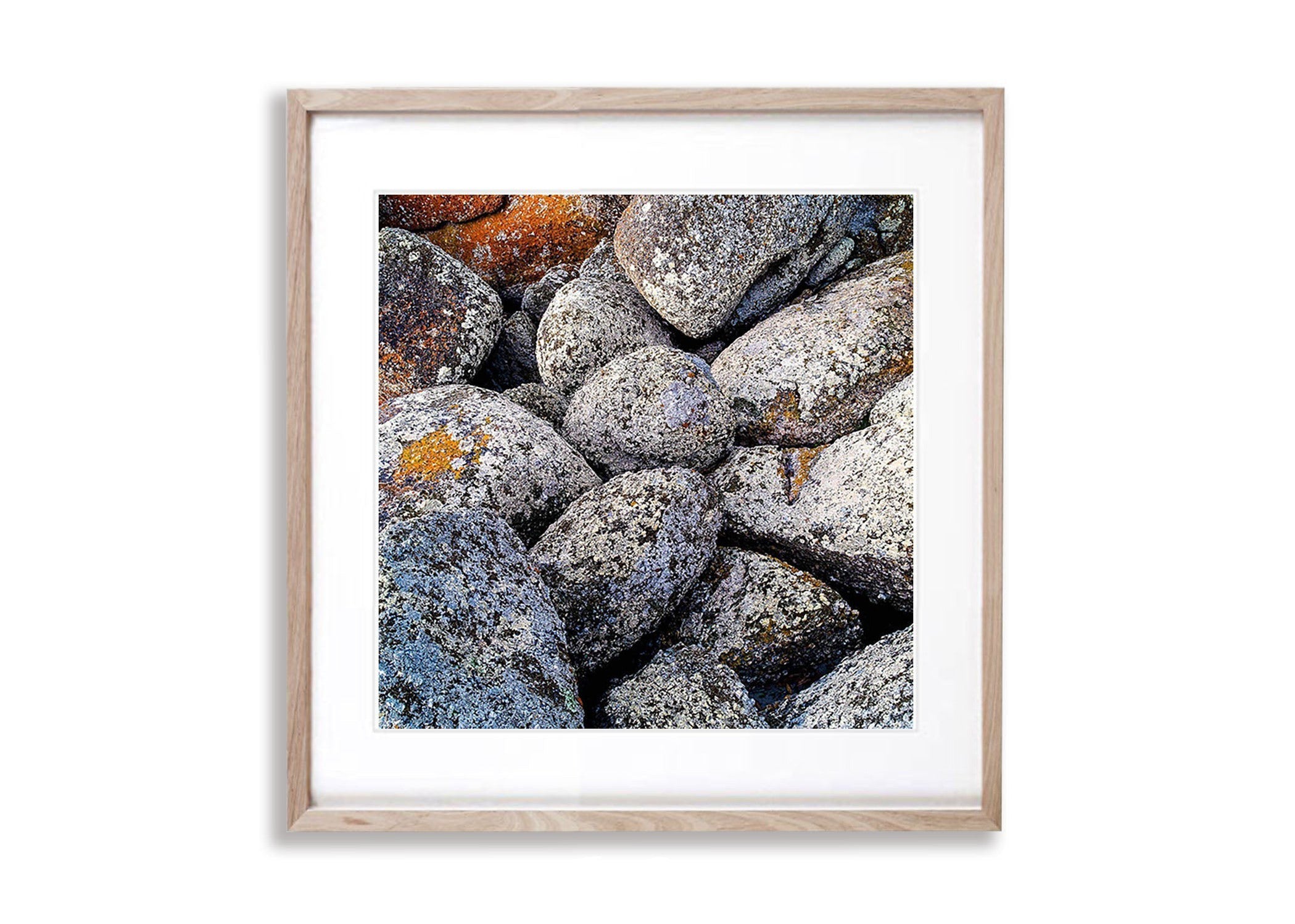 White Lichen on rock, Bay of Fires