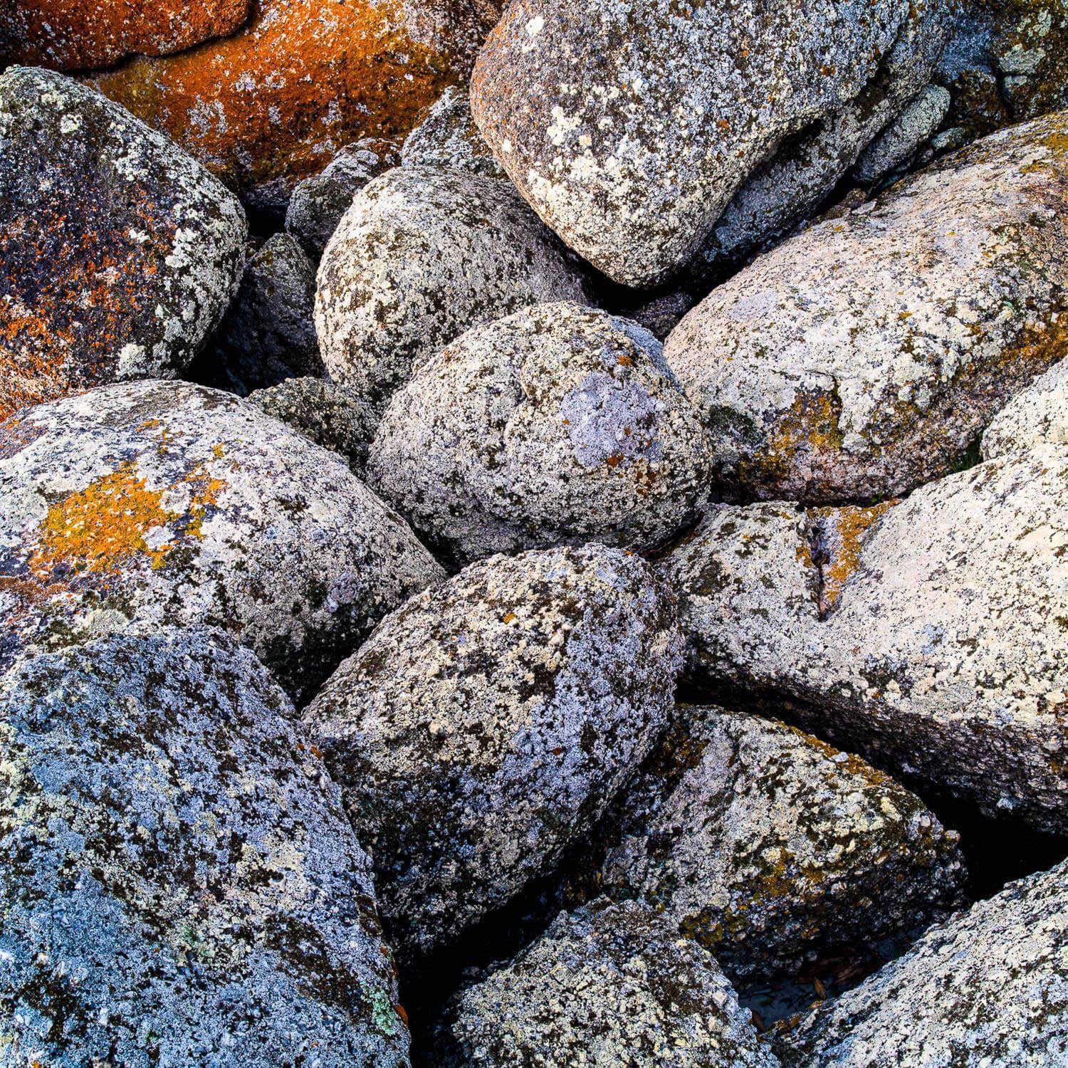Group of rocky stones with white lichen over them, White Lichen on rock, Bay of Fires