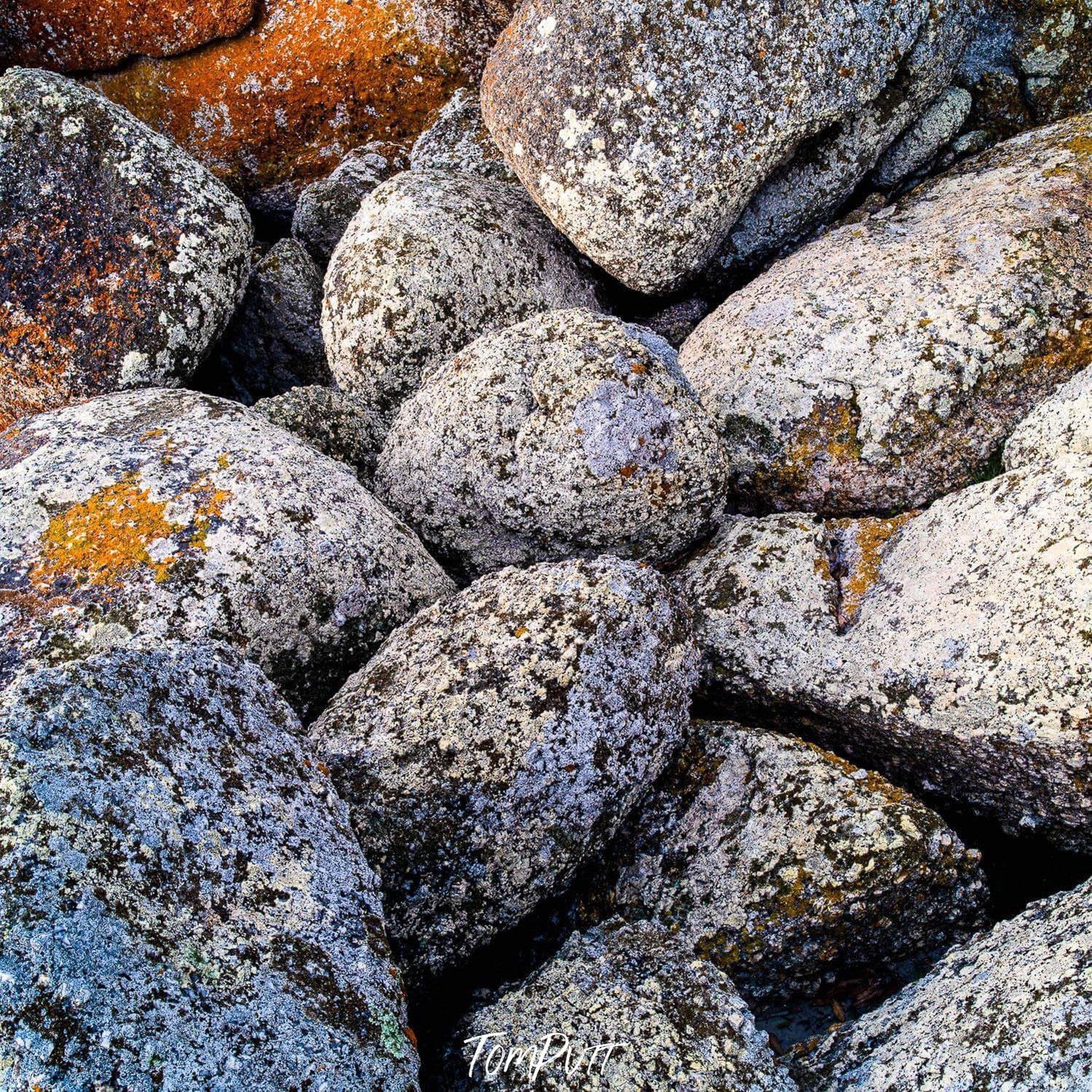 Group of rocky stones with white lichen over them, White Lichen on rock, Bay of Fires