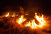 Long forest grass and bushes underfire, Wildfire #2, West MacDonnell Ranges - Northern Territory