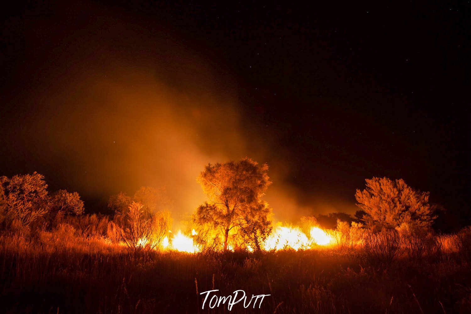 Night view of the burning forest, Wildfire, West MacDonnell Ranges - Northern Territory