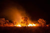 Night view of the burning forest, Wildfire, West MacDonnell Ranges - Northern Territory