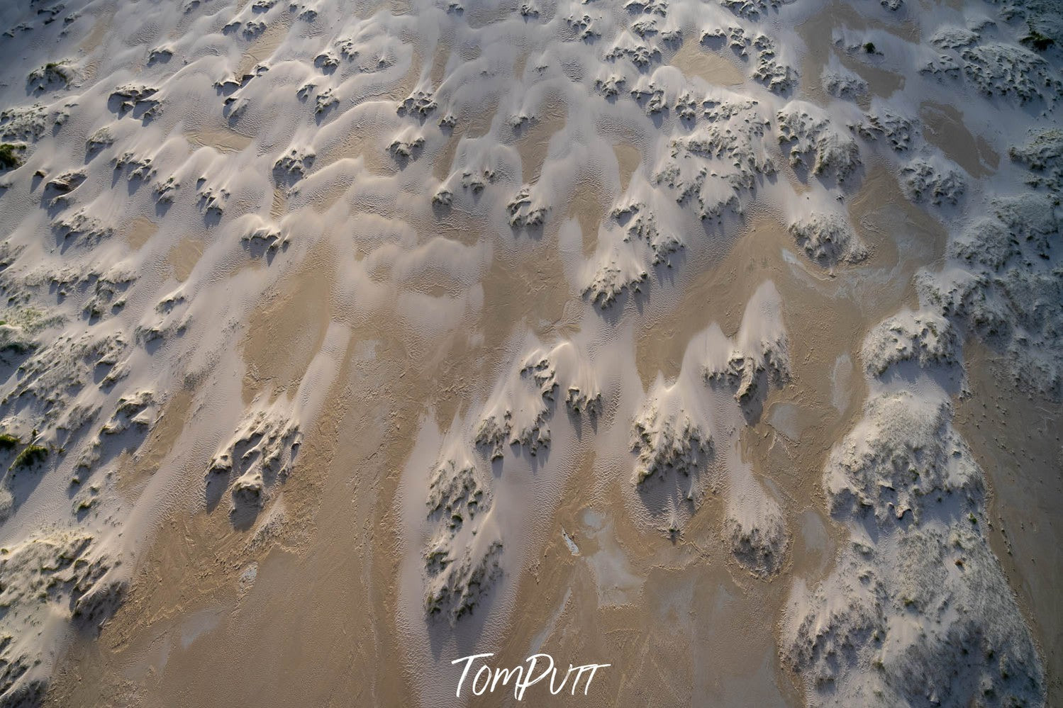 Windblown Dunes, Shallow Inlet, Wilson's Promontory