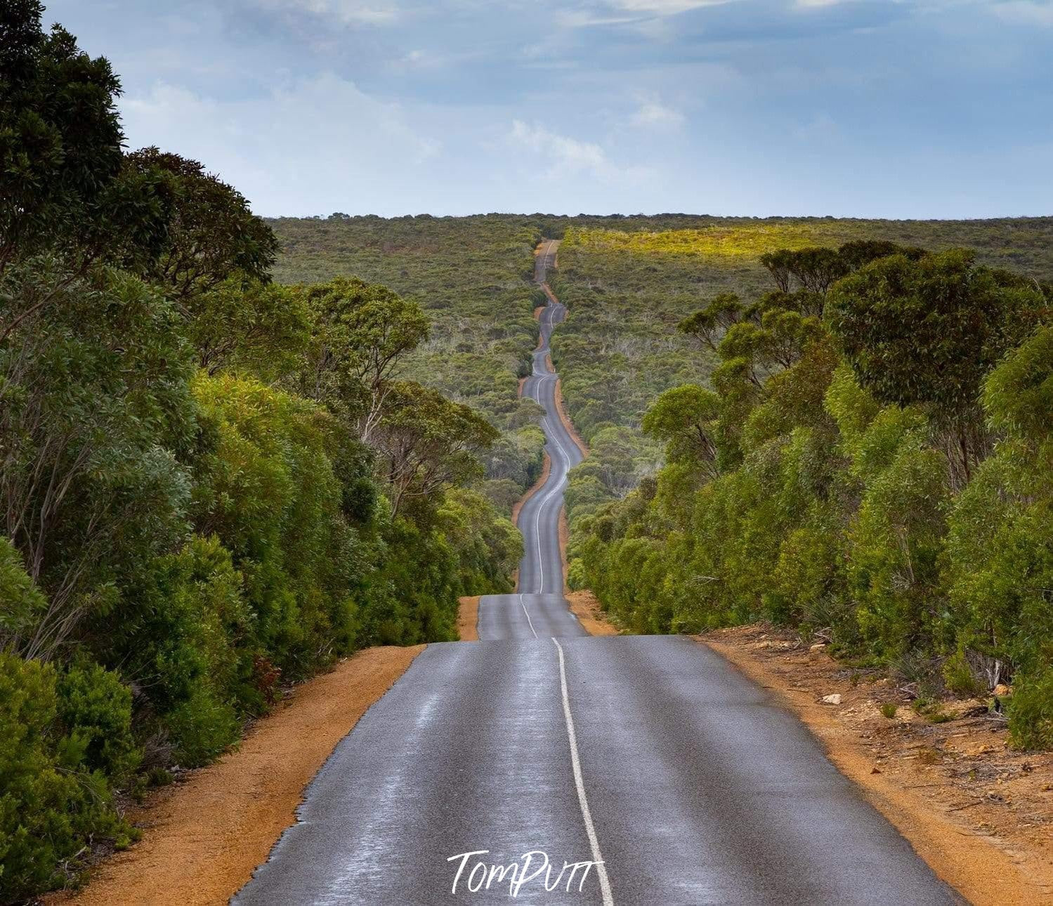 A long road with ups and downs between a thick forest, Windy Road, Kangaroo Island, South Australia