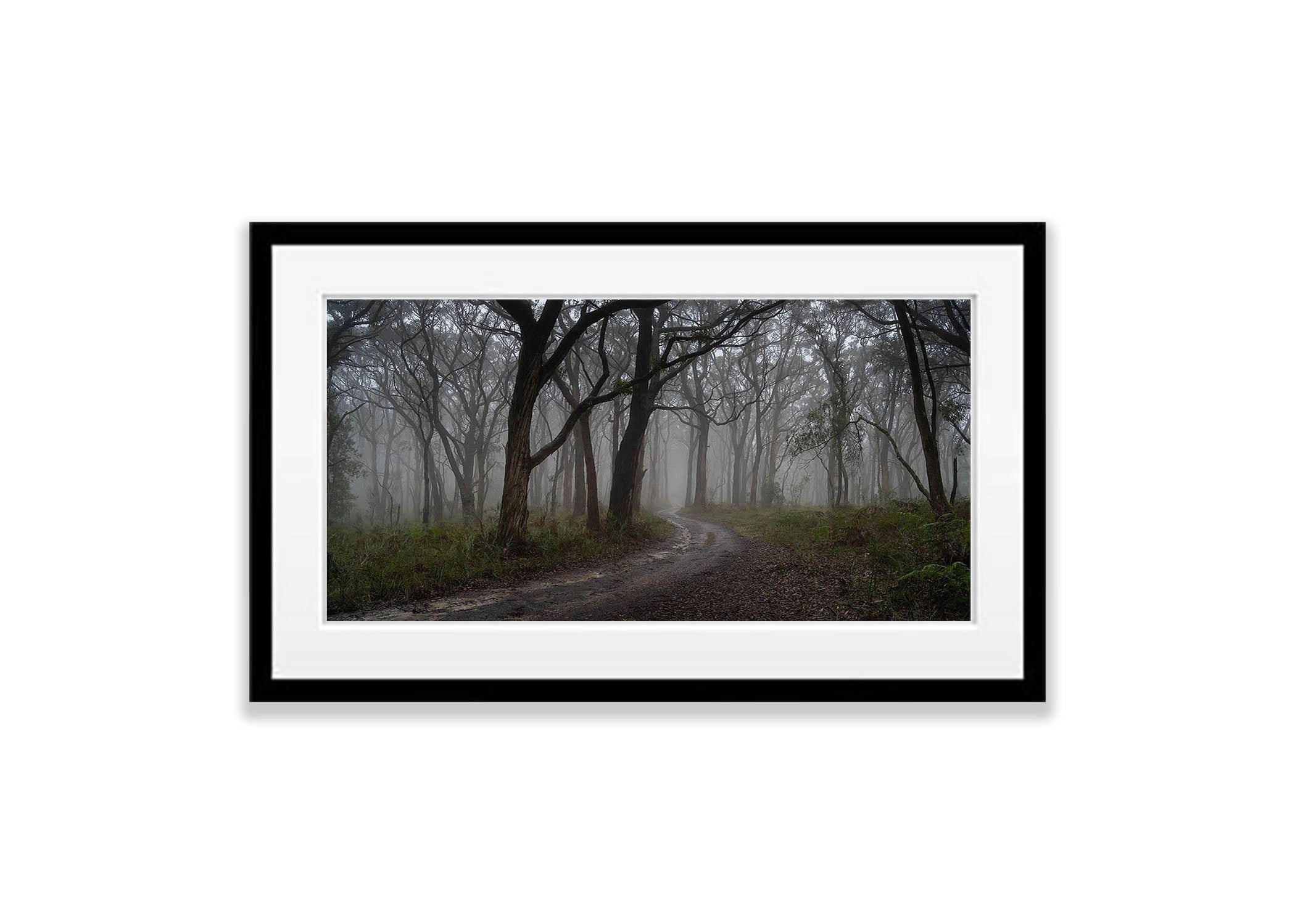 Winter Fog Arthurs Seat, Mornington Peninsula, VIC