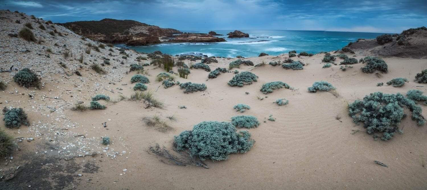 A cool beach with some sea-green colored bushes and small sand mounds, Winter at the Bay of Islands, Mornington Peninsula, VIC