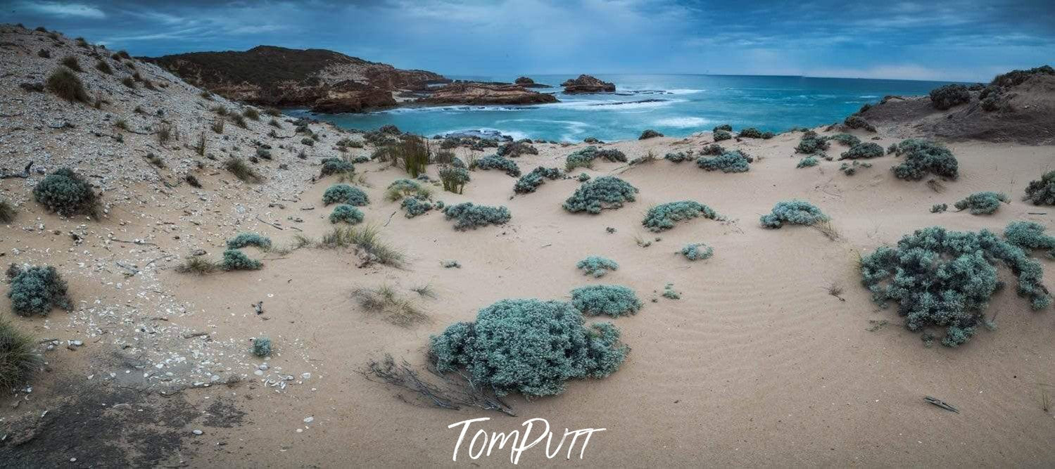 A cool beach with some sea-green colored bushes and small sand mounds, Winter at the Bay of Islands, Mornington Peninsula, VIC