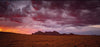 A long desert with golden sunlight effect, and a big golden mountain behind, Wolwedans Summer Storm - Namibia, Africa
