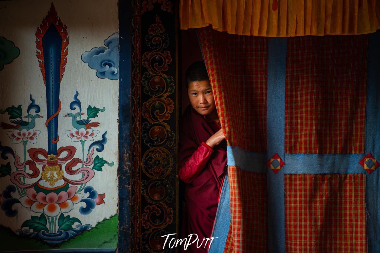 Young monk looking standing behind a curtain, Young Monk Looking, Bhutan