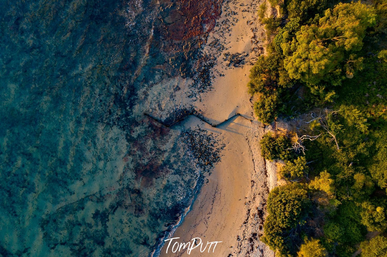 Aerial view of a green seashore with some sandy surface covered with thick plants and trees, Zig Zag from above, Mornington Peninsula, VIC